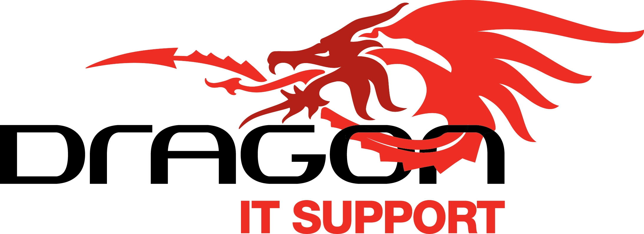 Dragon It Support