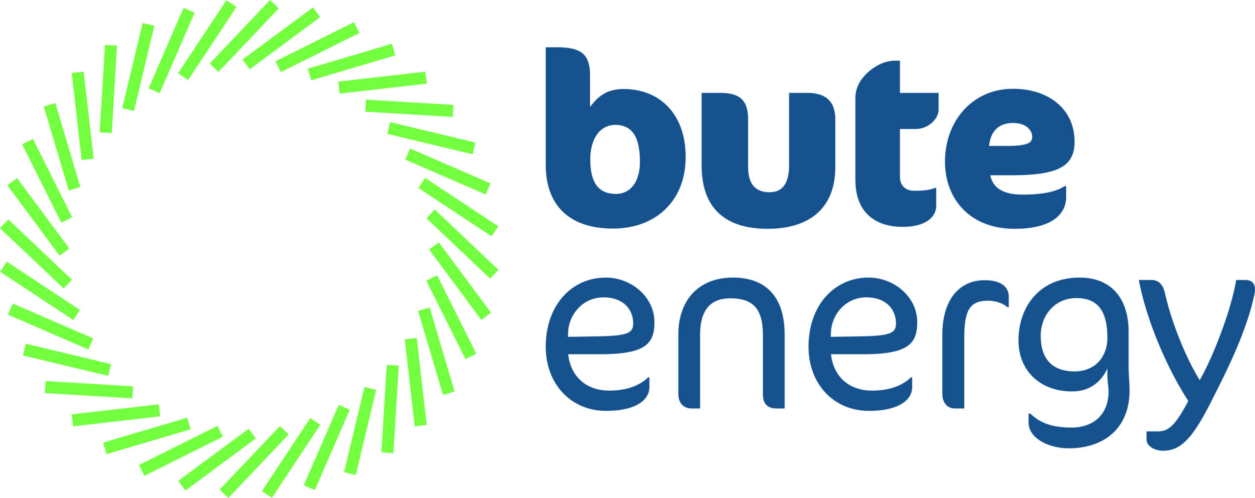 Bute Energy Ltd