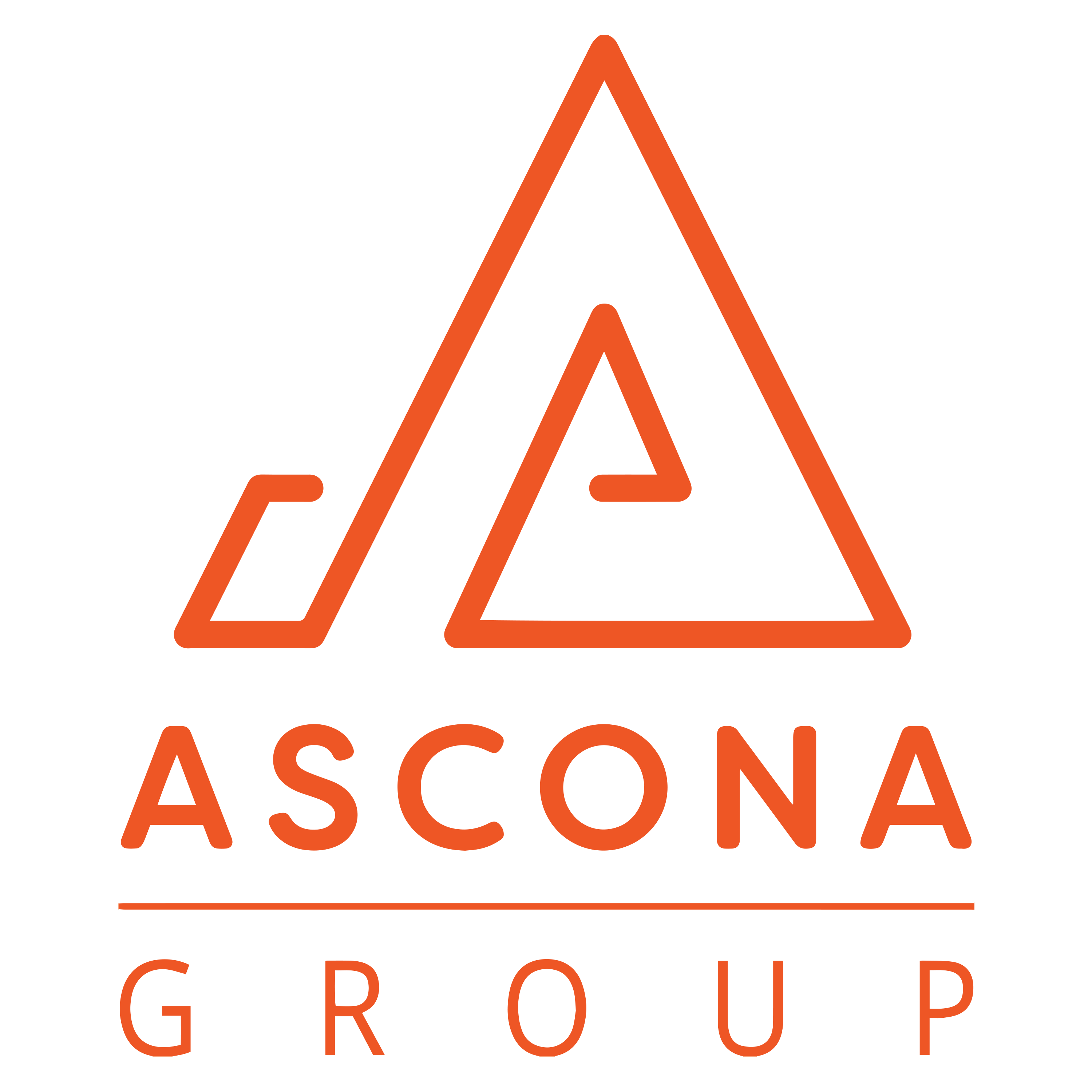 Ascona Group